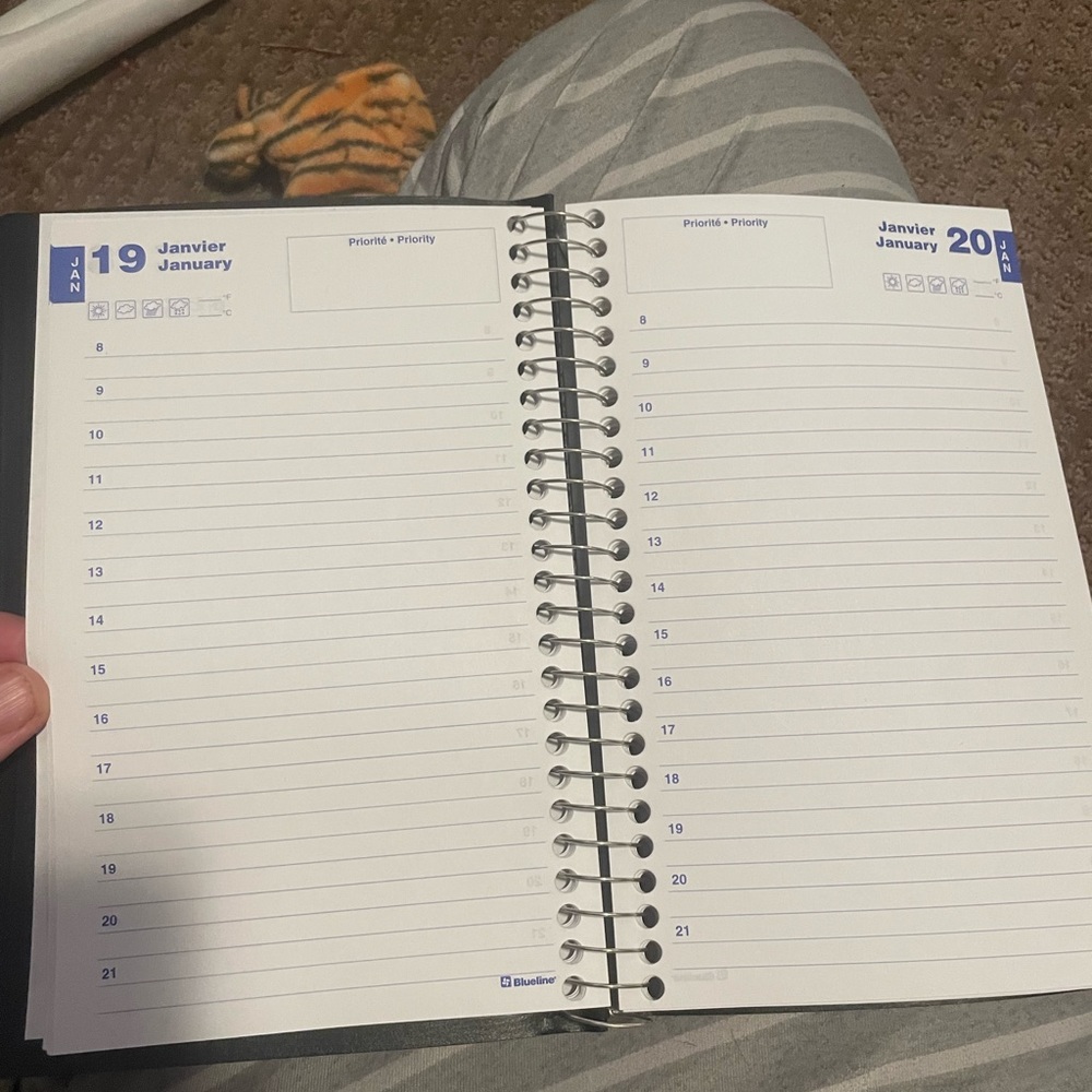 Blue line planner - Picture 2 of 2